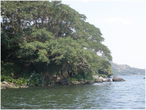 Mfangano Island Camp, Lake2